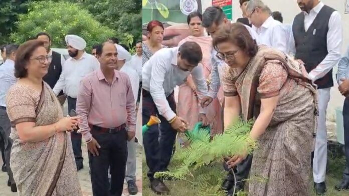 Jalandhar News: वन जज वन ट्री मुहिम को लेकर लगाए पौधें, सेंशन जज का आया बयान, देखें वीडियो