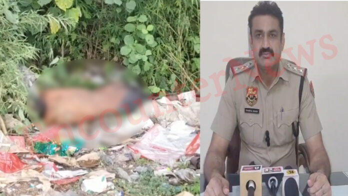 Haryana News: नेशनल हाईवे पर अज्ञात व्यक्ति का मिला शव, इलाके में फैली सनसनी, देखें वीडियो