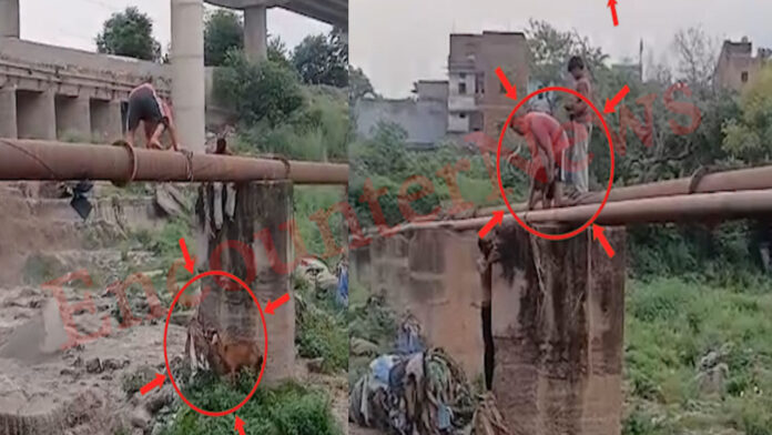पानी के तेज बहाव से नदी में बकरी के साथ फंसा मासूम बच्चा, देखें वीडियो