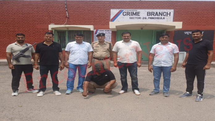 Haryana News: सोने की चुड़ियां चुराने वाला आरोपी उत्तराखंड से काबू, देखें वीडियो