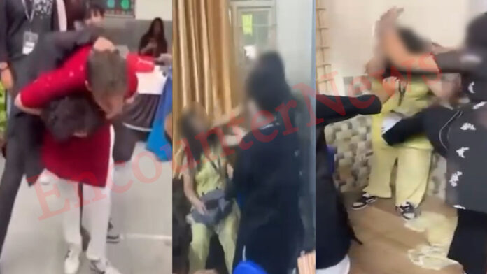 Jalandhar News: Apeejay की MUN में भीड़े छात्र, जमकर चले लात-घूंसे, Video viral