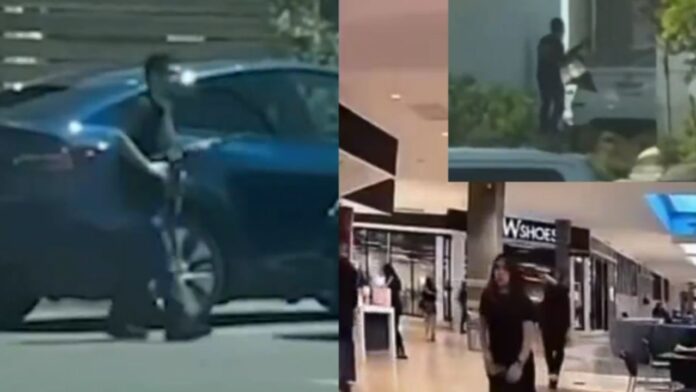 America के Shopping Centre में चली ताबड़तोड़ गोलियां, 3 लोगों की मौके पर मौत, देखें वीडियो