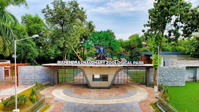 आठ महीनों में 85,000 से अधिक बच्चे छतबीड़ चिड़ियाघर देखने पहुंचे