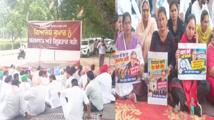 Punjab News: मुख्य EC ज्ञानेश कुमार के खिलाफ कांग्रेस का प्रदर्शन, गैर हाजिर रहे सचिन पायलट और चन्नी, देखें वीडियो