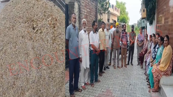 Punjab News : इस इलाके मे सुसरियों ने लोगो का जीना किया हराम, देखें वीडियो