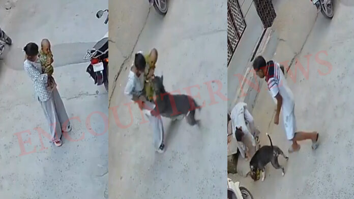 6 माह की बच्चे पर Pitbull ने किया Attack, देखें वीडियो