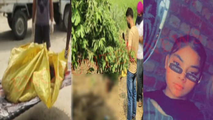 Punjab News: संदिग्ध परिस्थितियों में 19 वर्षीय लड़की की मौत, पिता पर लगे आरोप, देखें वीडियो