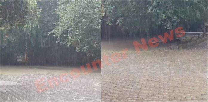 Jalandhar News: बारिश से मौसम हुआ सुहावना, Punjab में तेज आंधी को लेकर अलर्ट जारी, देखें वीडियो