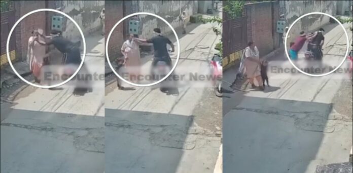 महिला की बालियां छीनता स्नेचर काबू, जमकर की छित्तर परेड, देखें CCTV