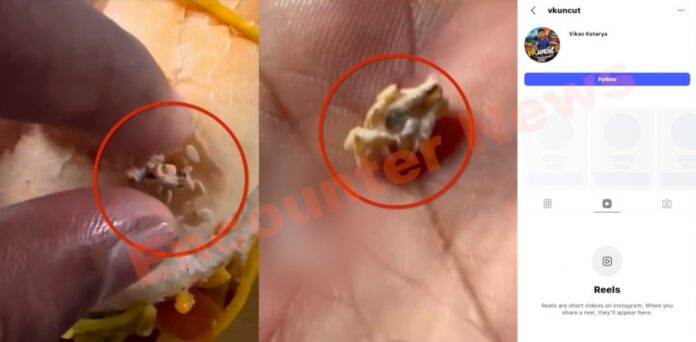 Jalandhar News: विवादों में आया Hari Burger, सूंडी निकलने की वीडियो वायरल