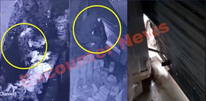 Jalandhar News: दुकान से Dry Fruits, Desi Ghee और नगदी लेकर एक्टिवा सवार चोर फरार, देखें वीडियो