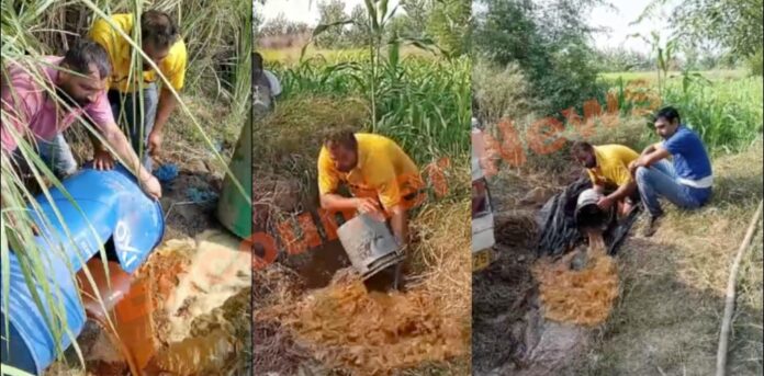 Punjab News: आबकारी विभाग की कार्रवाईः 2 लाख लीटर लाहन और 400 बोतल अवैध शराब बरामद, देखें वीडियो