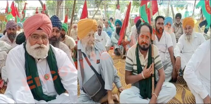 Punjab News: खेतों से मोटर चोरी को लेकर किसानों का DC ऑफिस के बाहर धरना