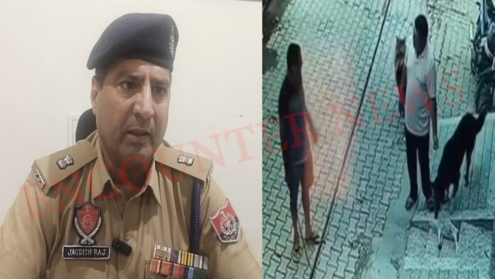 Punjab News: कुत्ते के बच्चे पर शख्स ने बेरहमी से बरसाए डंडे, वीडियो वायरल