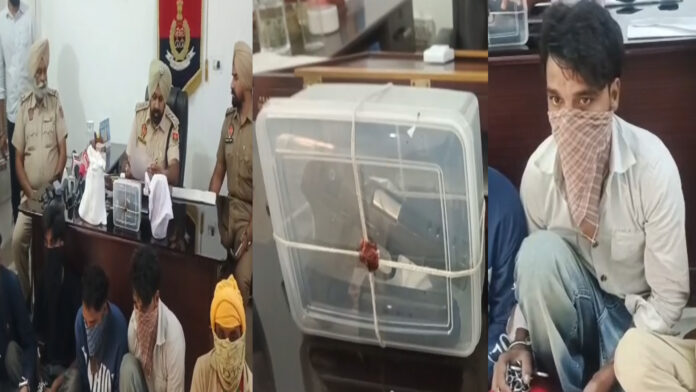 Punjab News: अगल-अलग मामलों में 3 आरोपी गिरफ्तार, भारी मात्रा में हेरोइन व हथियार बरामद, देखें वीडियो