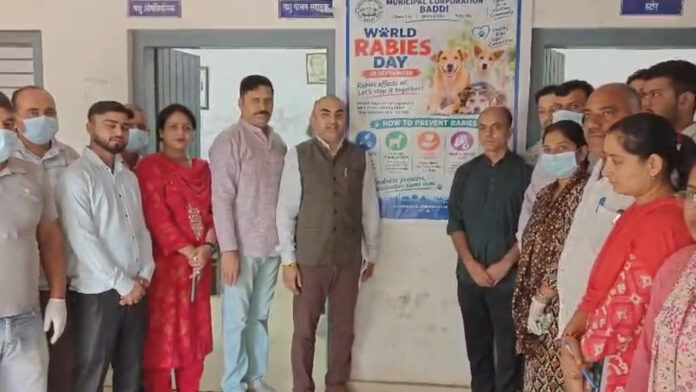 नगर निगम ने मनाया विश्व रेबीज दिवस, आवारा कुत्तों का करवाया टीकाकरण, देखें वीडियो