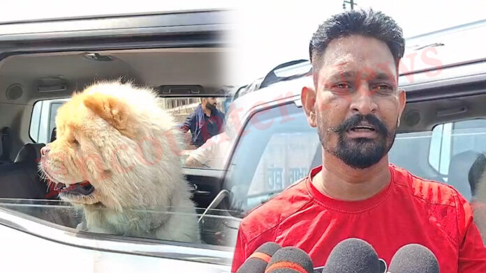 Punjab News: बंद का असर, जाम में फंसा विदेशी नस्ल का कुत्ता, मालिक परेशान, देखें वीडियो