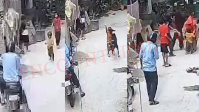 आवारा कुत्ते का आतंकः 18 महीने के मासूम पर किया हमला, हालत गंभीर, देखें CCTV