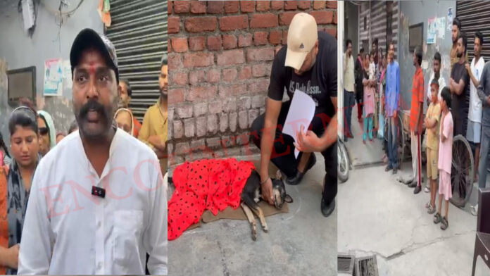Punjab News : इस जिले में DOG से हैवानियत, निकाली आँखे, फैली दहशत, देखें वीडियो