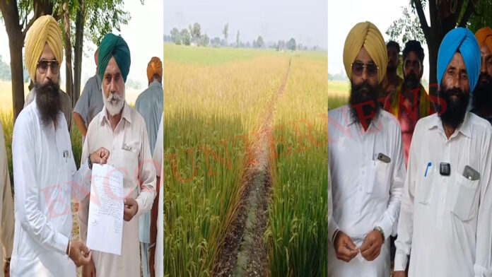 फसल को लेकर विवादों में घिरा NRI, शिकायत दर्ज