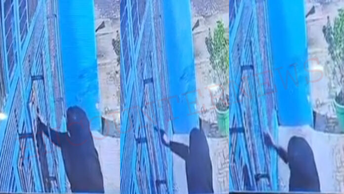Punjab News: गुरुद्वारे के गेट पर नौजवान ने चलाई गोलियां, प्रमुख के नाम फेंकी धमकी भरी चिट्‌ठी, देखें वीडियो