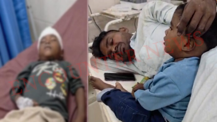 भीषण सड़क हादसाः पंजाब के दादी और पौते की मौत, 6 घायल, देखें वीडियो