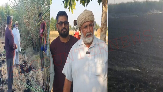 Jalandhar News: गन्ने के 5 खेतों में लगी आग, लाखों का हुआ नुकसान, देखें वीडियो