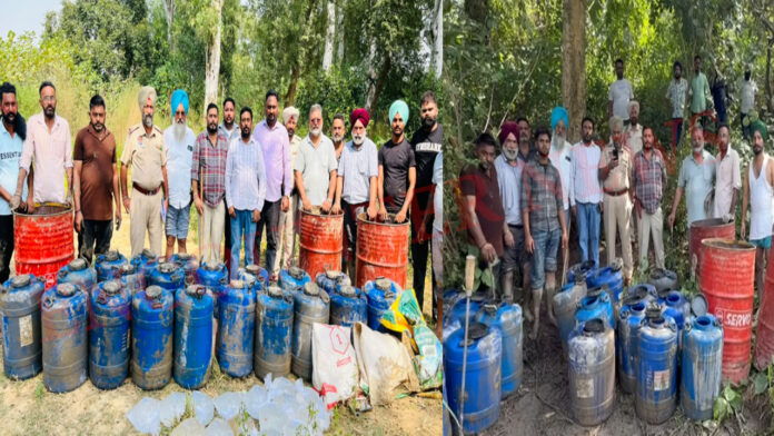 Punjab News: एक्साइज और पुलिस की रेड, भारी मात्रा में लाहन व देसी शराब बरामद, देखें वीडियो