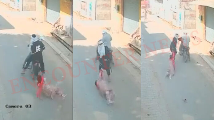 Punjab News: महिला से पर्स छीनने की कोशिश, कई मीटर तक घसीटा, देखें CCTV