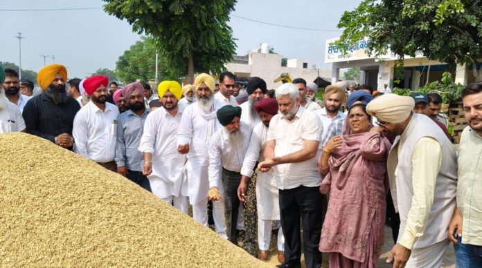 पंजाब की अनाज मंडियों में अब तक 8.50 लाख मीट्रिक टन धान की आवक