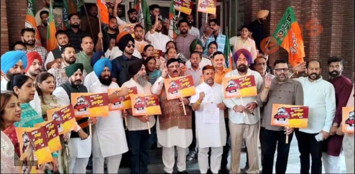 Punjab News: परविंदर झोटा फायरिंग मामलाः भाजपा ने DC ऑफिस में सौंपा ज्ञापन