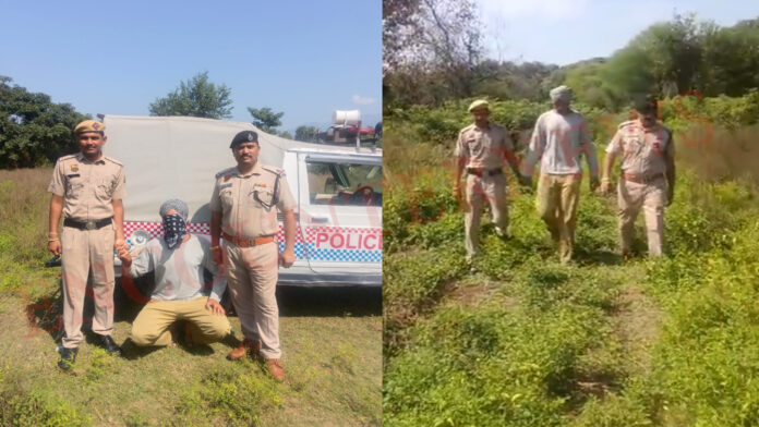 सरकारी जंगल में खैर के पेड़ों की अवैध कटाई मामले में आरोपी गिरफ्तार