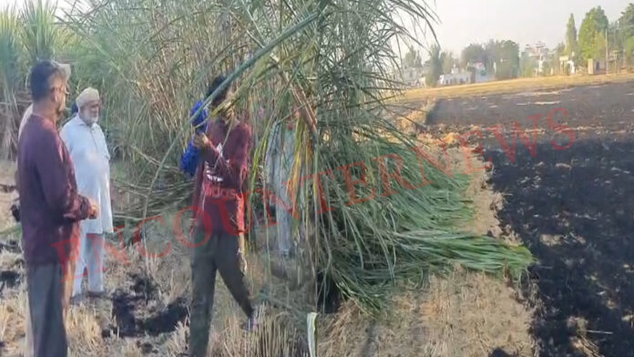 गन्ने के कई खेतों में लगी भीषण आग, लाखों का नुकसान